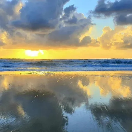 Jolie Face A L'ocean